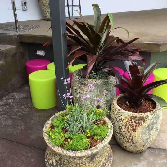 Living Green Indoor Plant Hire We specialise in the hire of natural indoor plants to businesses on the Mid North Coast--