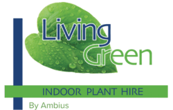 Living Green Indoor Plant Hire We specialise in the hire of natural indoor plants to businesses on the Mid North Coast
