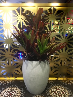 The-gallery - Living Green Indoor Plant Hire