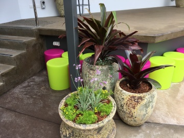 The-gallery - Living Green Indoor Plant Hire