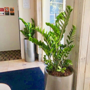 The-gallery - Living Green Indoor Plant Hire