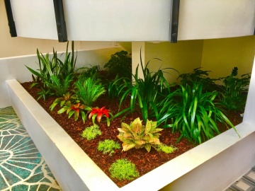 The-gallery - Living Green Indoor Plant Hire