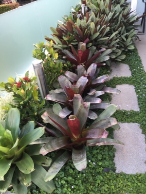 The-gallery - Living Green Indoor Plant Hire