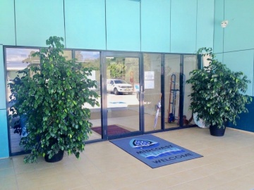 The-gallery - Living Green Indoor Plant Hire