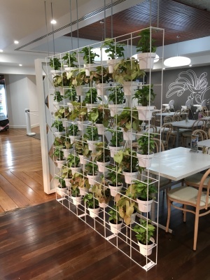 The-gallery - Living Green Indoor Plant Hire