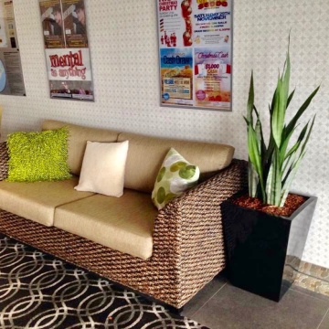 The-gallery - Living Green Indoor Plant Hire