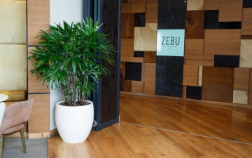  - Living Green Indoor Plant Hire