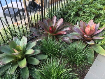 The-gallery - Living Green Indoor Plant Hire