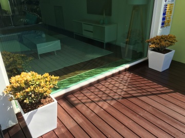 The-gallery - Living Green Indoor Plant Hire