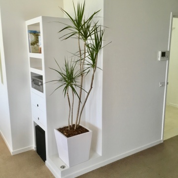 The-gallery - Living Green Indoor Plant Hire