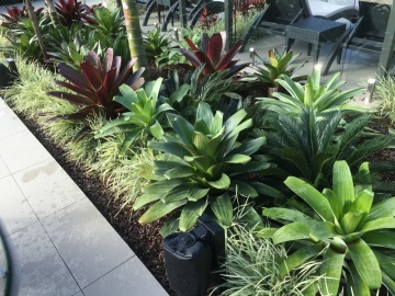 The-gallery - Living Green Indoor Plant Hire