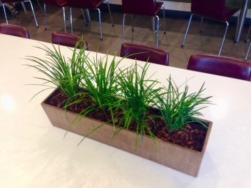 The-gallery - Living Green Indoor Plant Hire