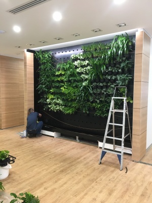 The-gallery - Living Green Indoor Plant Hire